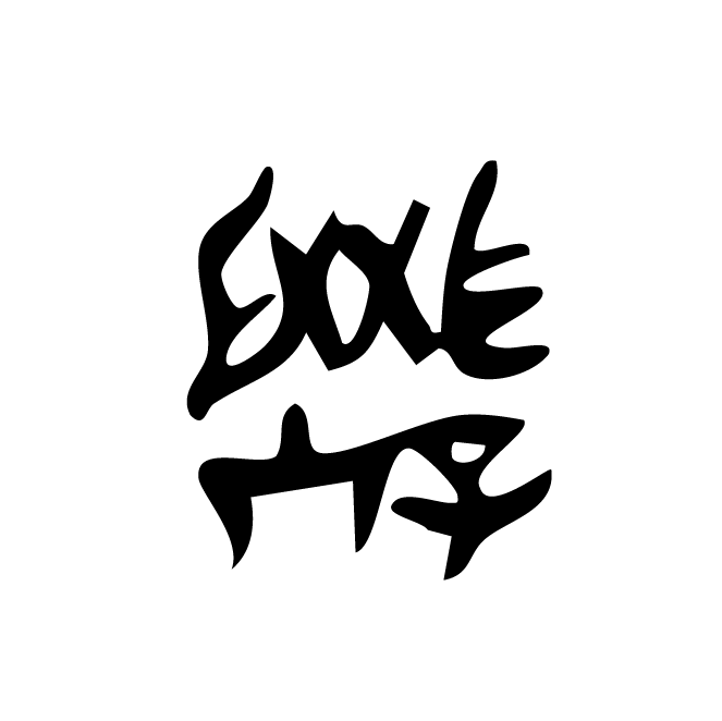 丁再献的骨刻文