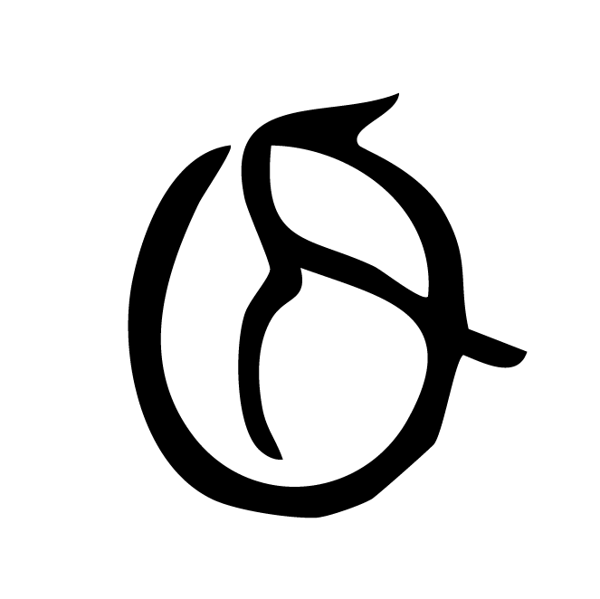 丁再献的骨刻文