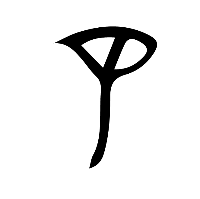 丁再献的骨刻文