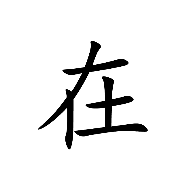 丁再献的楷书