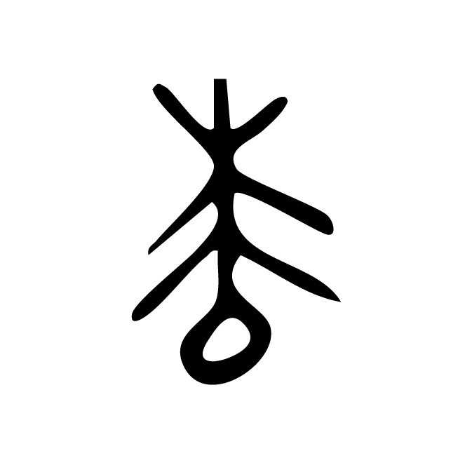 丁再献的甲骨文