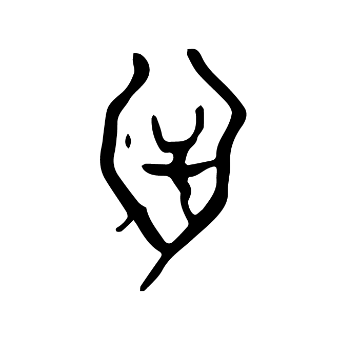 丁再献的骨刻文