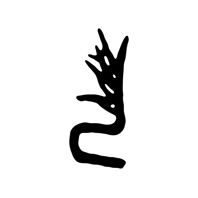 丁再献的骨刻文