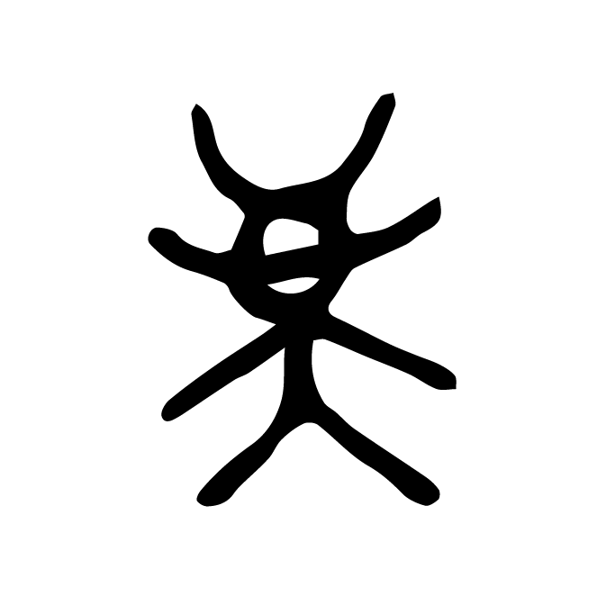 丁再献的骨刻文