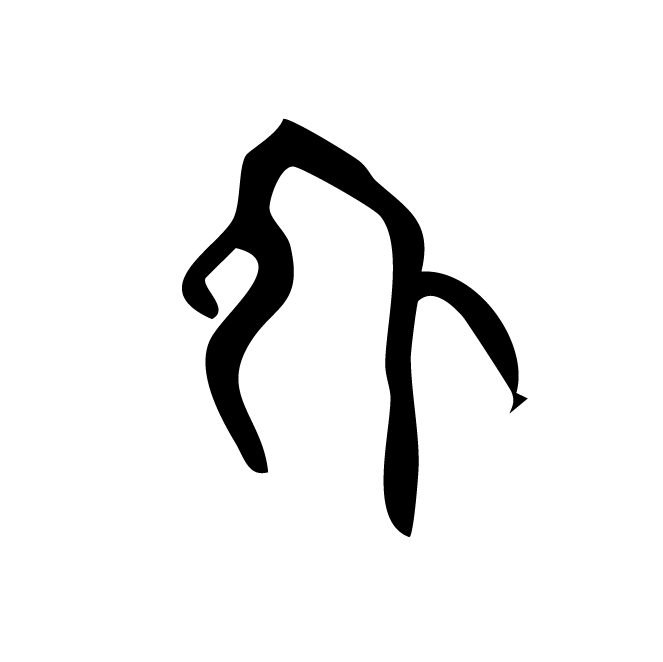 丁再献的骨刻文
