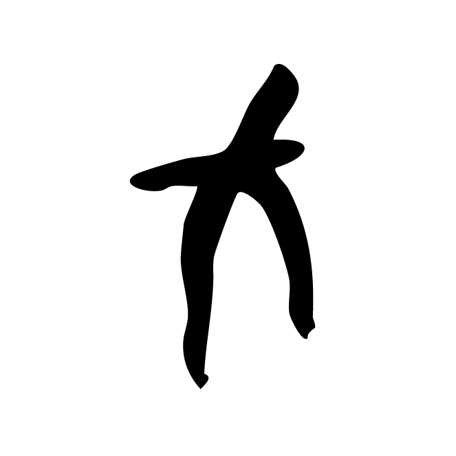 丁再献的骨刻文