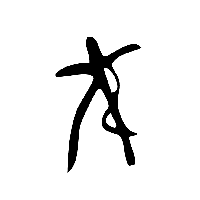 丁再献的骨刻文
