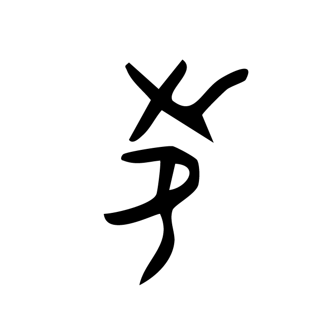 丁再献的骨刻文