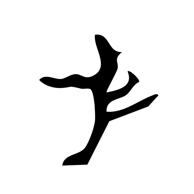 丁再献的骨刻文