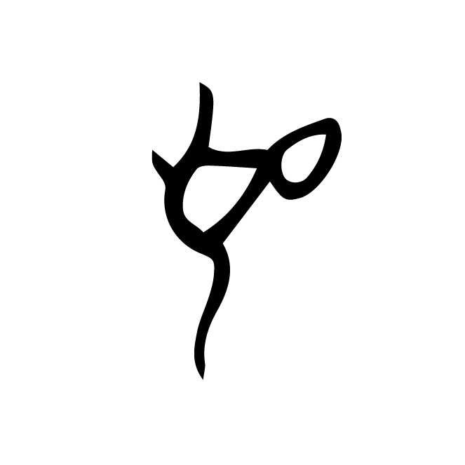 丁再献的骨刻文