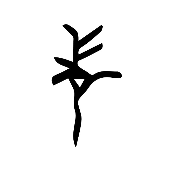 丁再献的骨刻文