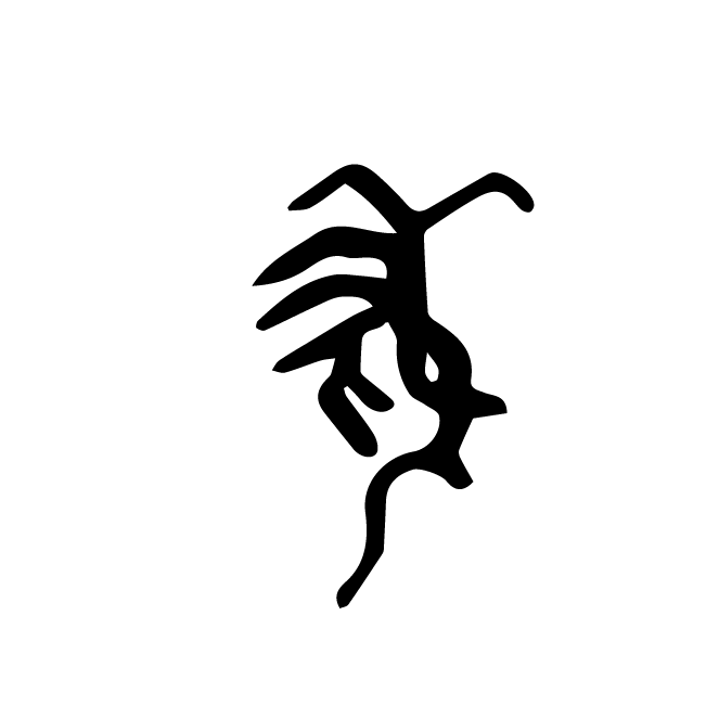 丁再献的骨刻文