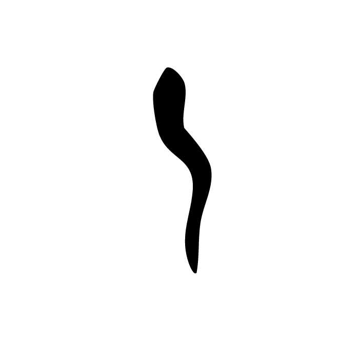 丁再献的骨刻文