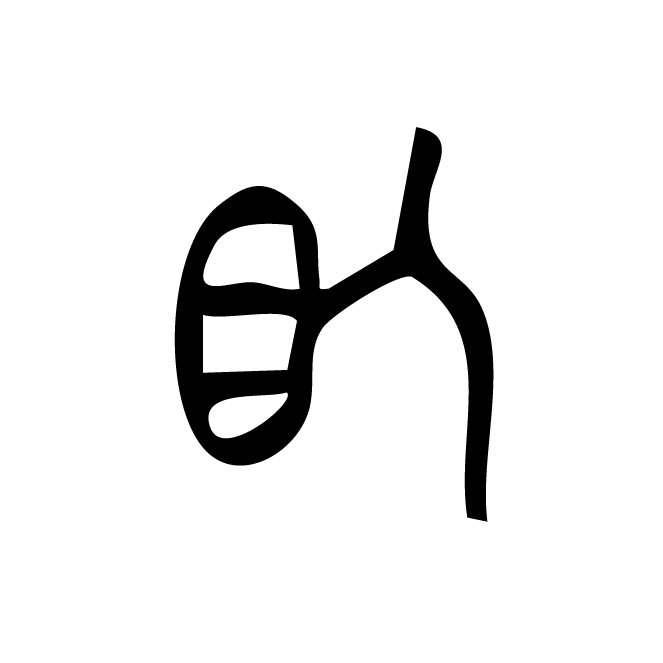 丁再献的骨刻文
