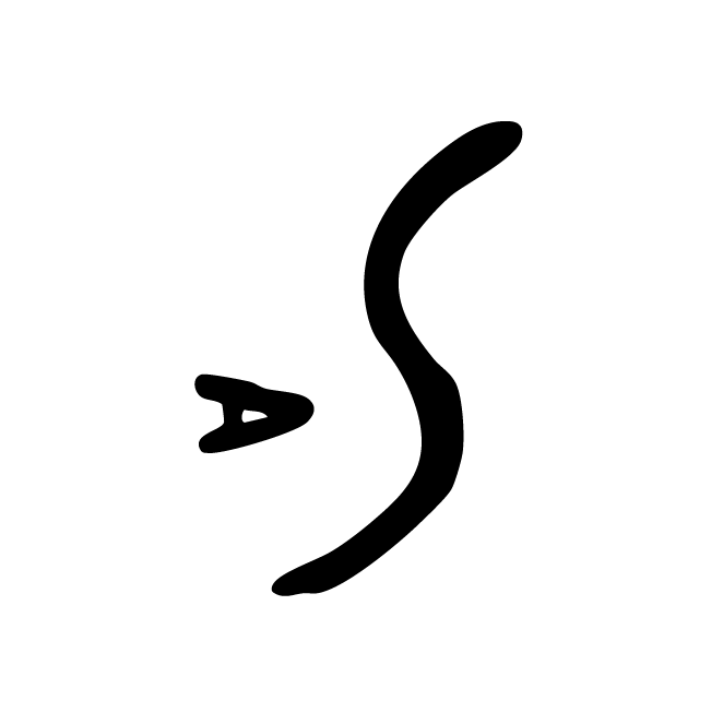丁再献的骨刻文