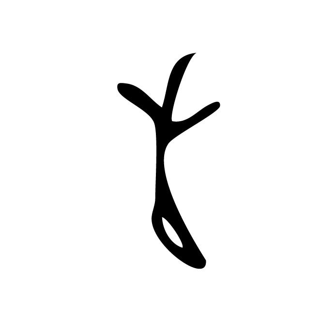 丁再献的骨刻文