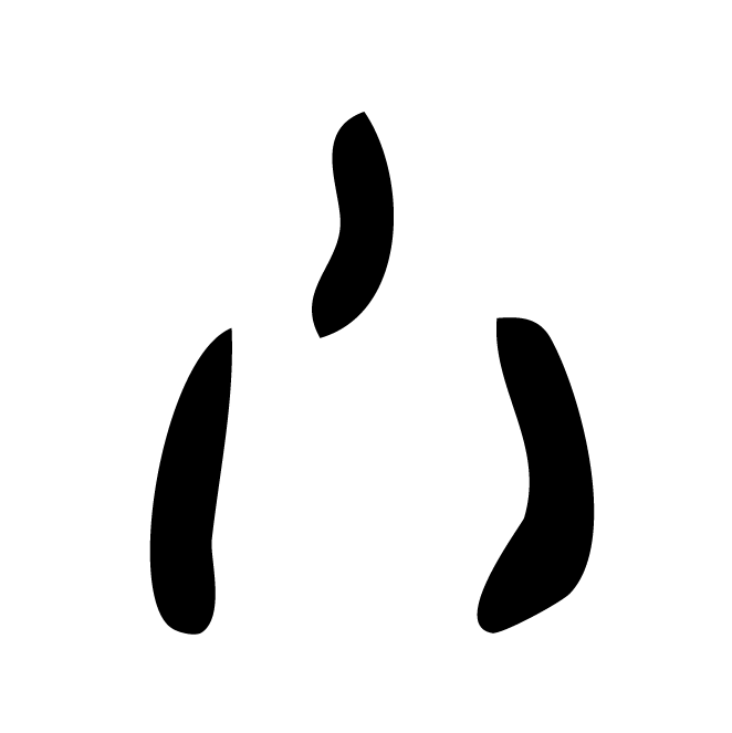 丁再献的骨刻文