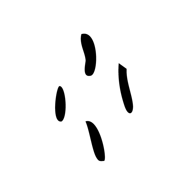 丁再献的骨刻文