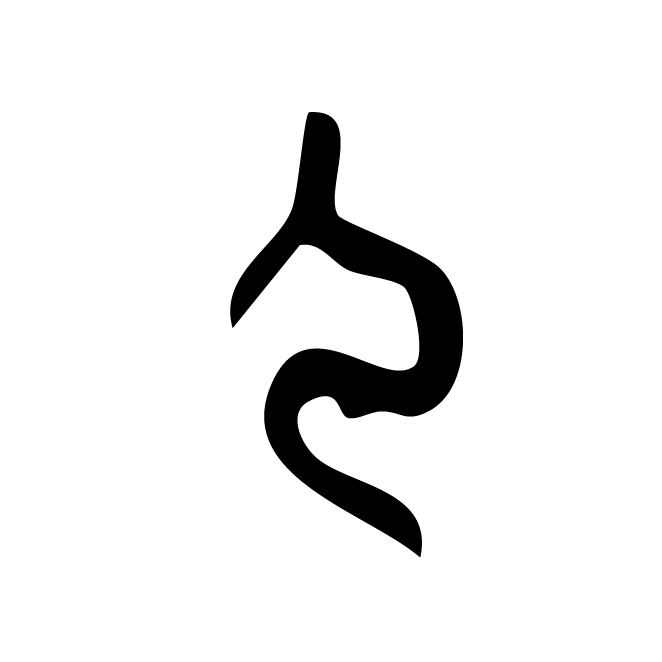 丁再献的骨刻文