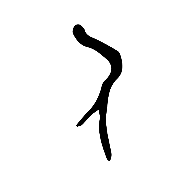 丁再献的骨刻文