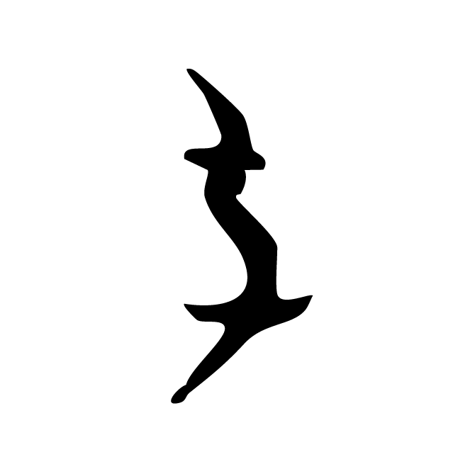 丁再献的骨刻文