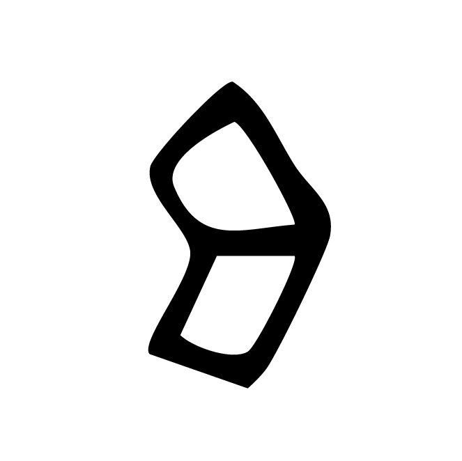 丁再献的骨刻文