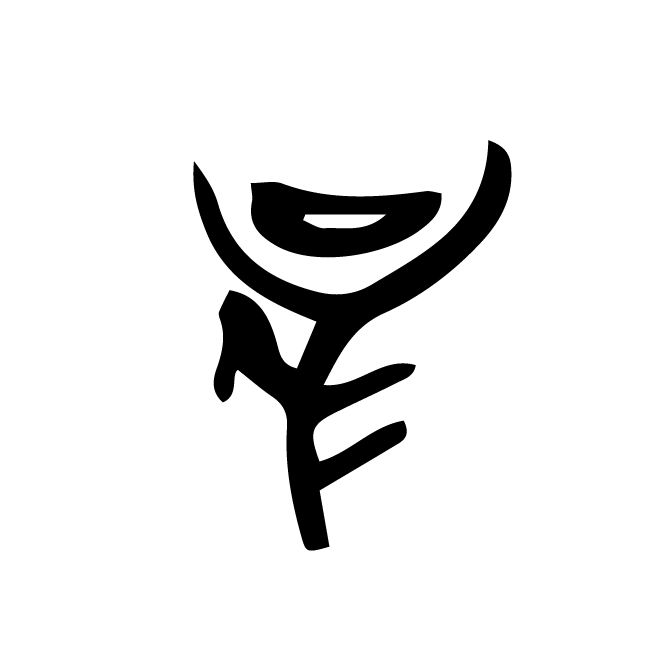 丁再献的骨刻文