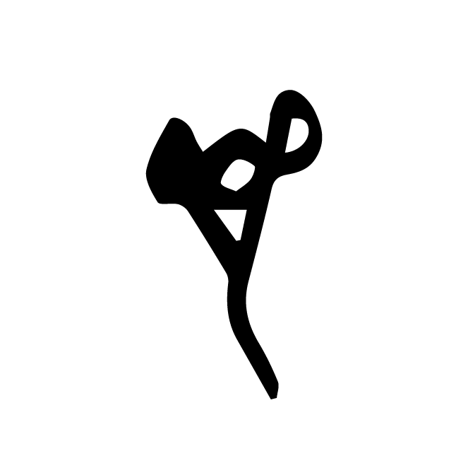 丁再献的骨刻文