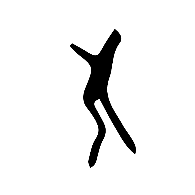 丁再献的骨刻文