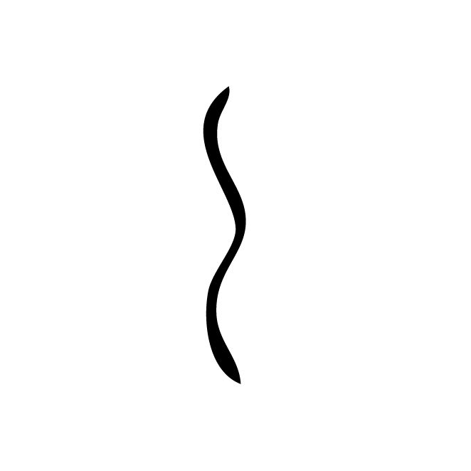 丁再献的骨刻文