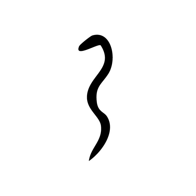 丁再献的金文