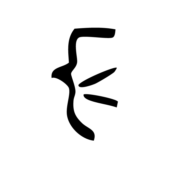 丁再献的骨刻文
