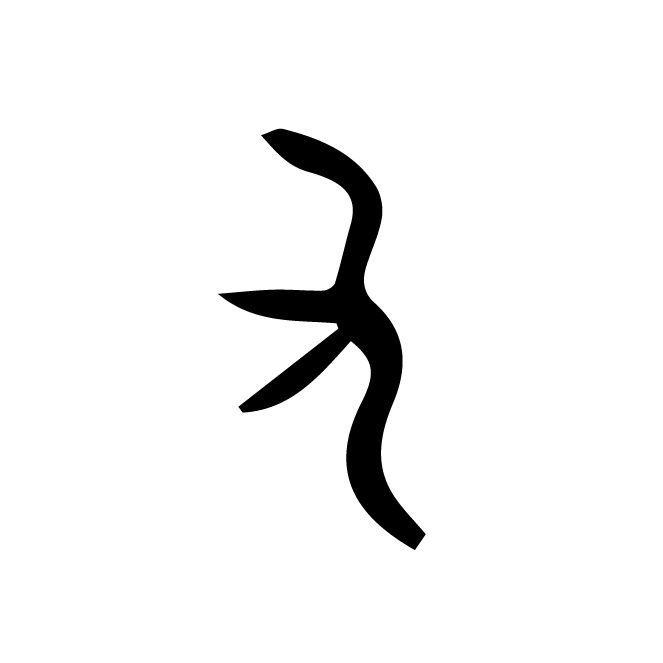 丁再献的骨刻文