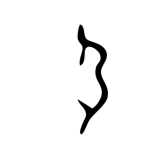 丁再献的骨刻文