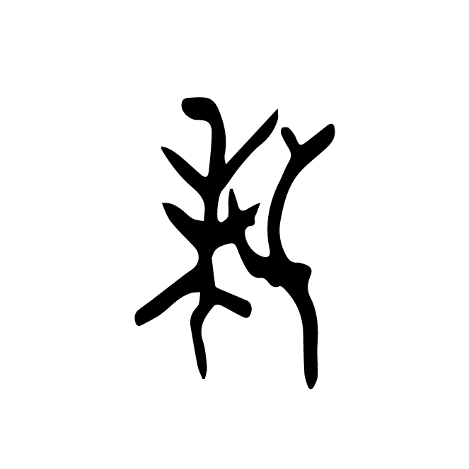 丁再献的骨刻文