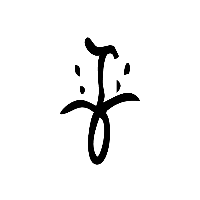 丁再献的骨刻文