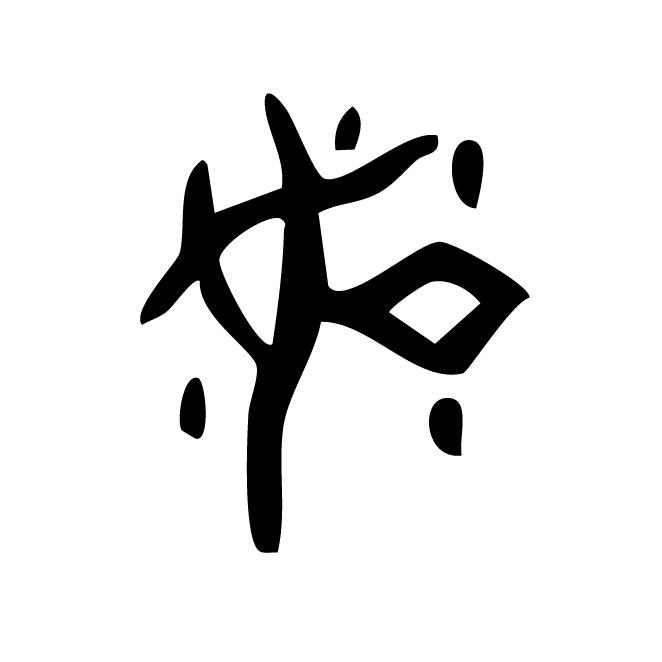 丁再献的骨刻文