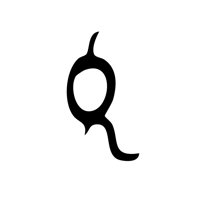 丁再献的骨刻文
