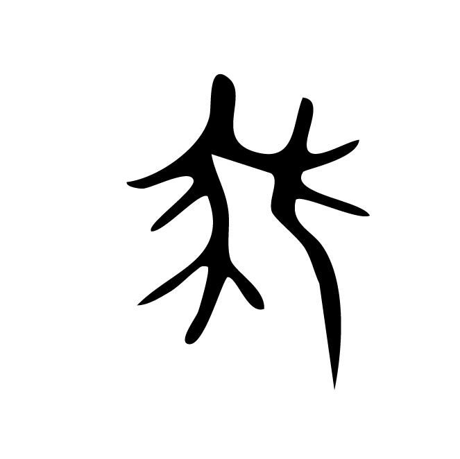 丁再献的骨刻文