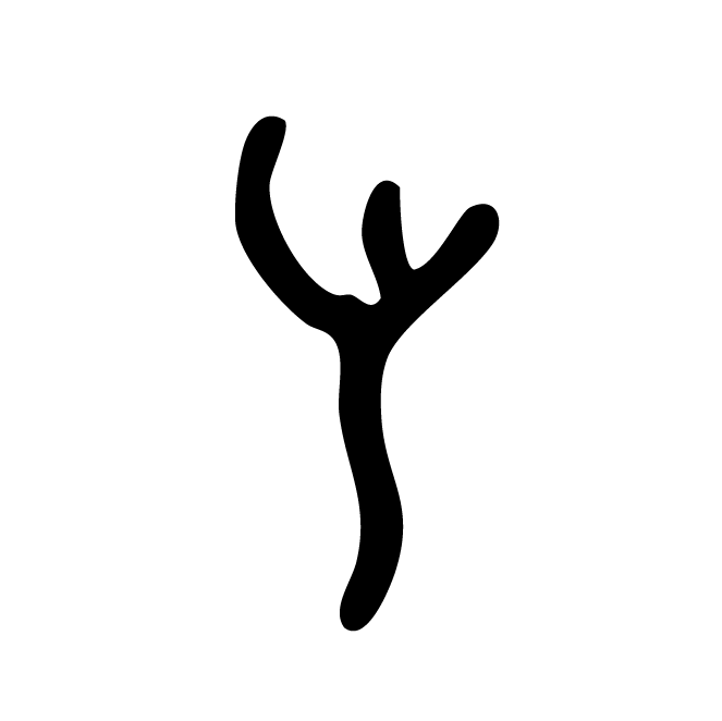 丁再献的骨刻文