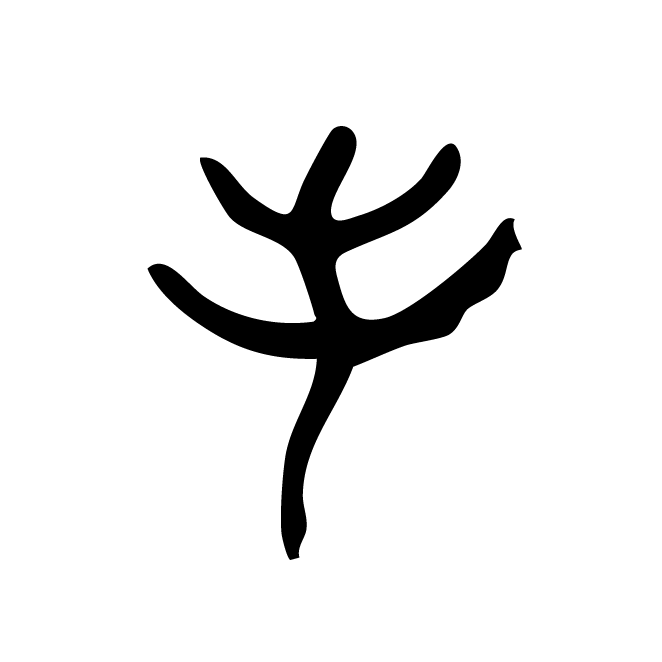 丁再献的金文