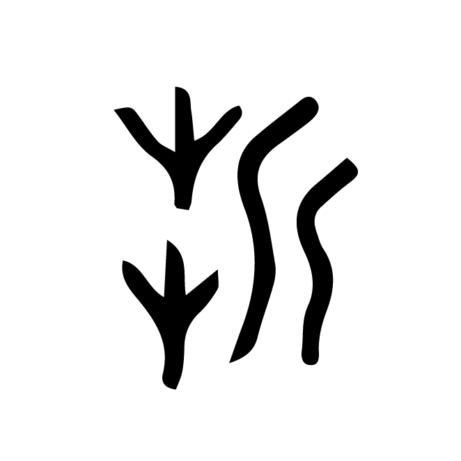 丁再献的金文