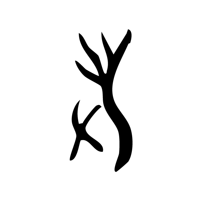 丁再献的骨刻文
