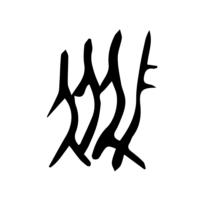 丁再献的骨刻文