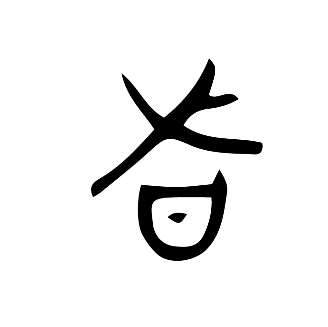 丁再献的骨刻文