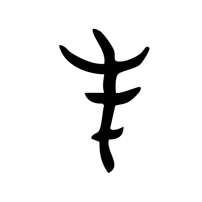 丁再献的骨刻文