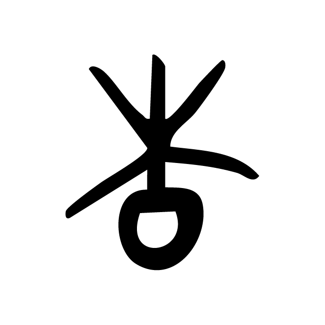 丁再献的骨刻文