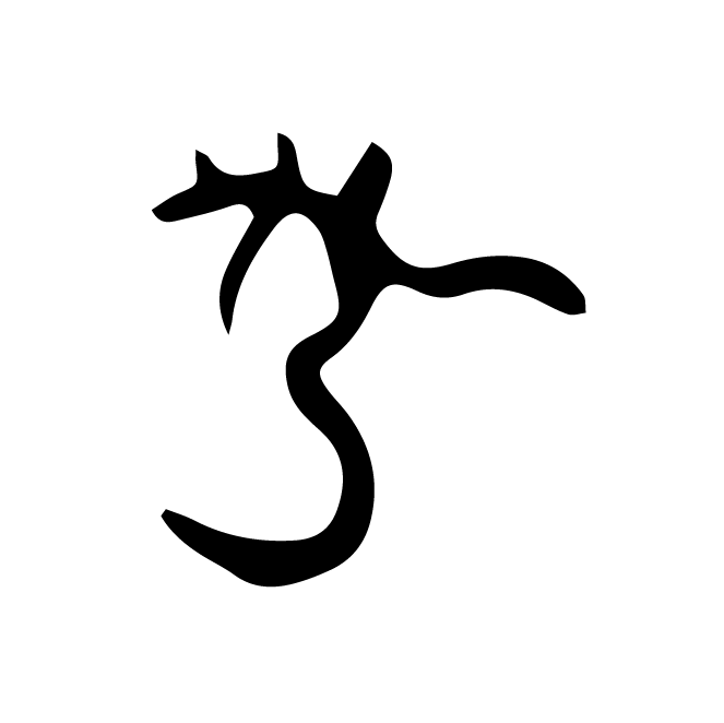丁再献的骨刻文