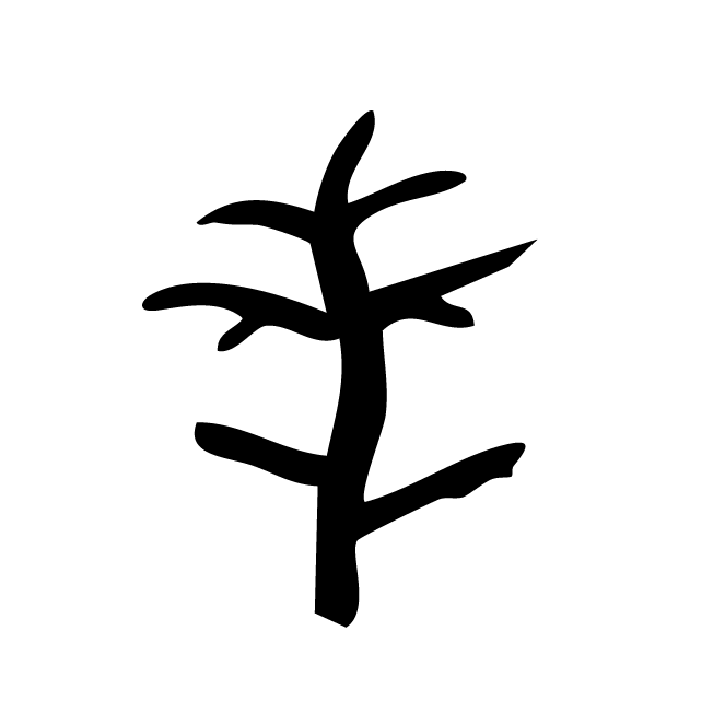 丁再献的骨刻文