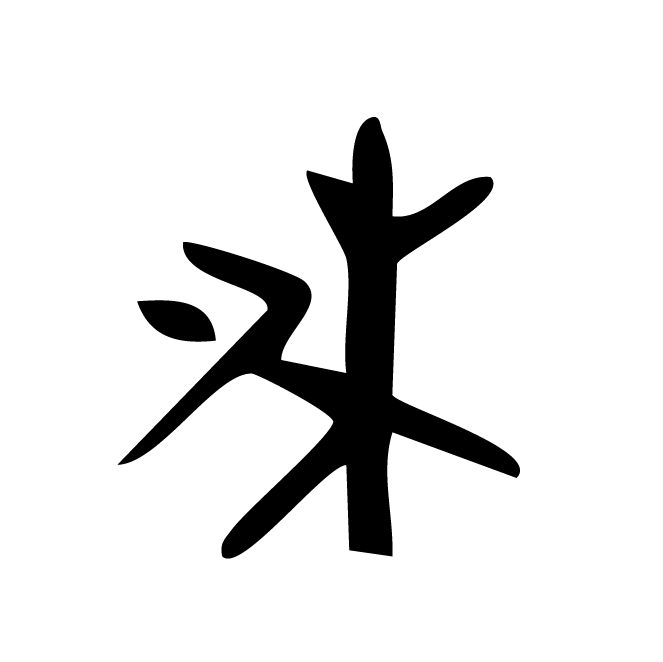 丁再献的骨刻文